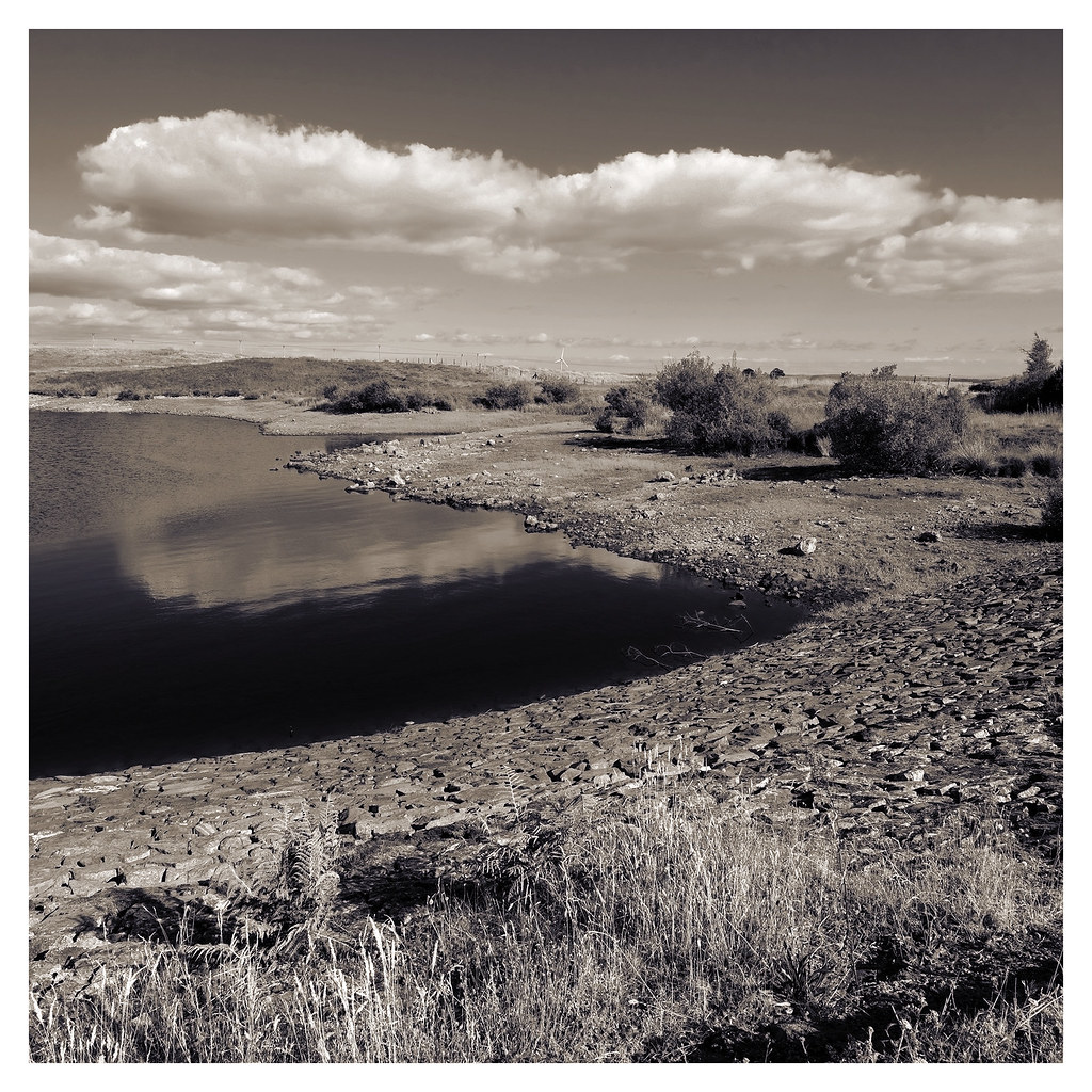 Harelaw Reservoir 2021-08-02-08564