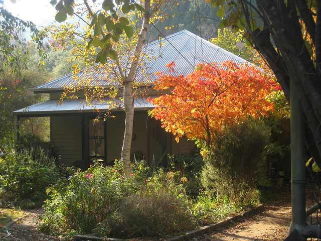 A Weatherboard Edwardian Miner's Cottage - Morses Creek Road, Wandiligong
