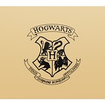 LEGO Harry Potter 76391 Hogwarts Icons