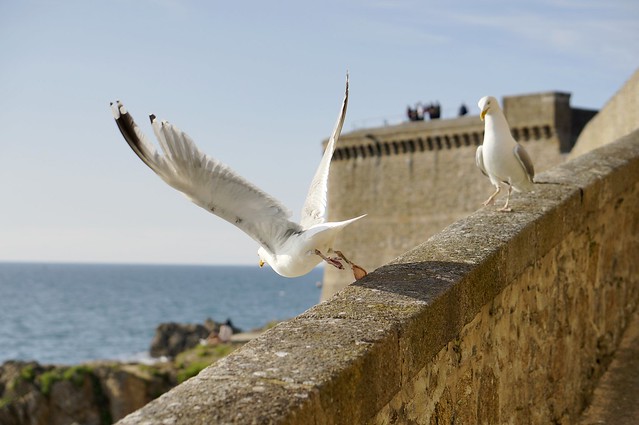 Taking off from the ramparts