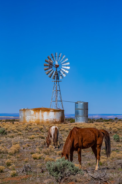 Horses and Windmill near Hovenweep National Monument