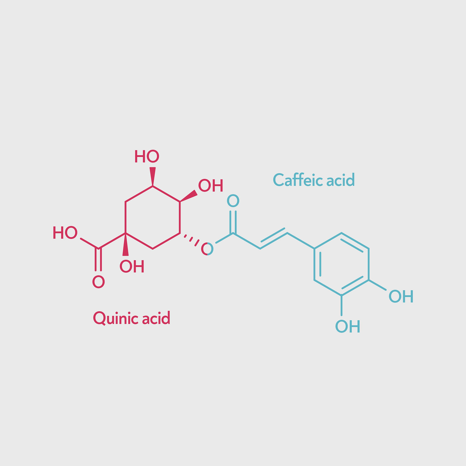 Acidity là gì? Các loại Axit trong cà phê | PrimeCoffee