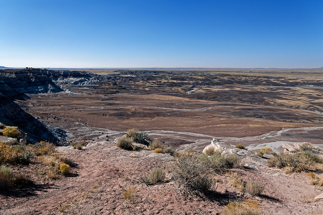 Exposed to a Wondrous Nature (Petrified Forest National Park)