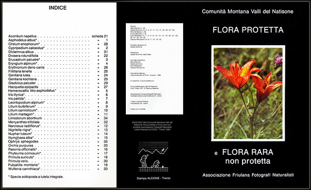 Bot35 8551 Bot Comunità Montana Valli del Natisone Flora protetta e Flora rara non protetta Associazione Fotografi Naturalisti Udine Stampa ALCIONE - Trento 1985.