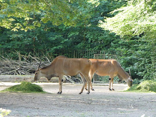 Zoo Rostock | by Mausmaki auf Klassenfahrt