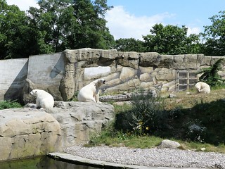 Zoo Rostock | by Mausmaki auf Klassenfahrt