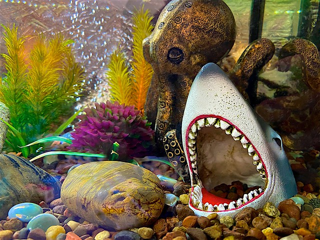 Aquarium Fright!