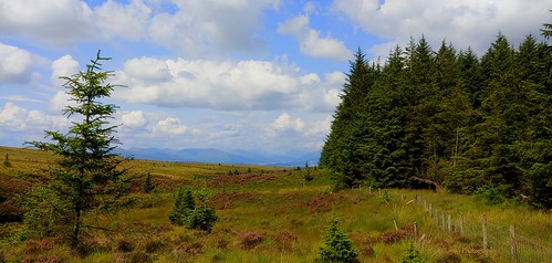 kilpatrickhills dumbarton scotland countryside moors hills forest wild landscape clouds sky lochlomond mountains view scenery openspaces trees trek hillwalking hike outdoors