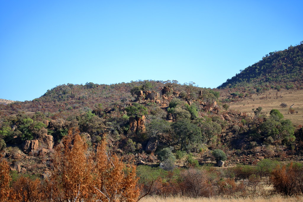 Landscape. Pilanesberg Game Reserve. South Africa. Jun/2021