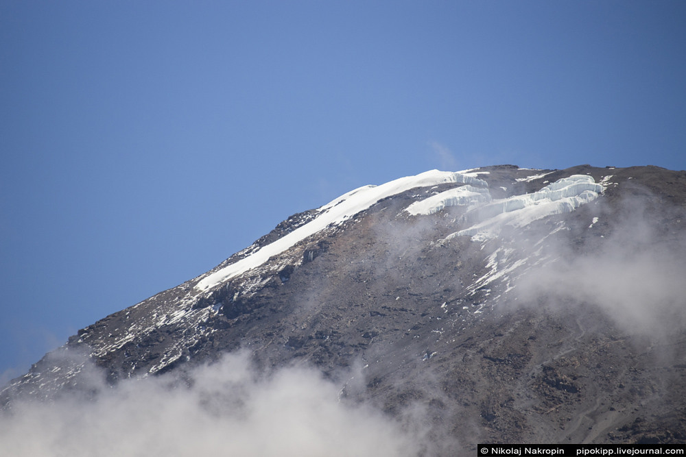 Затяжной поцелуй Килиманджаро 