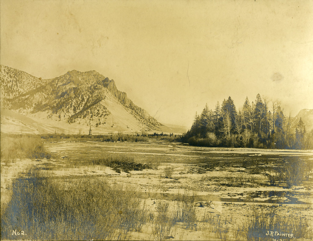 Painter Trail #213