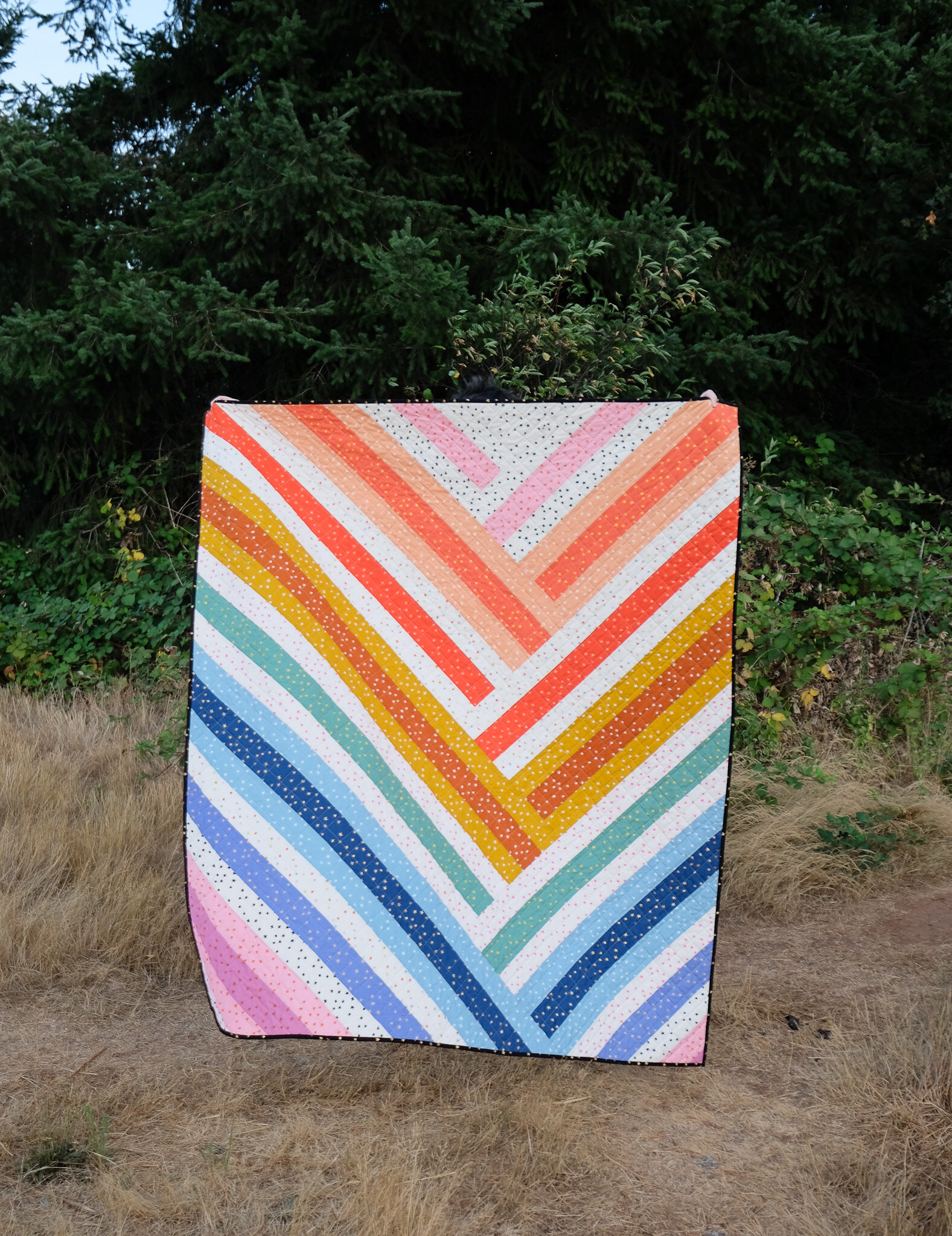 The Zoe Quilt in Starry - Kitchen Table Quilting