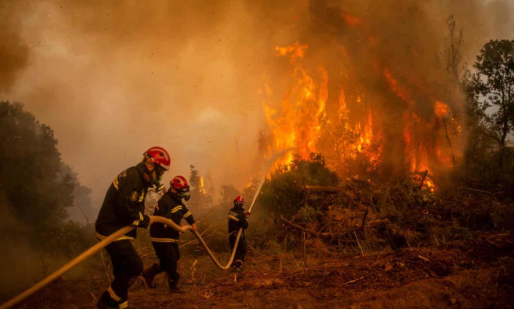 希臘自 8 月 3 日起，發生超過 500 次野火火災。（圖片來源：衛報）