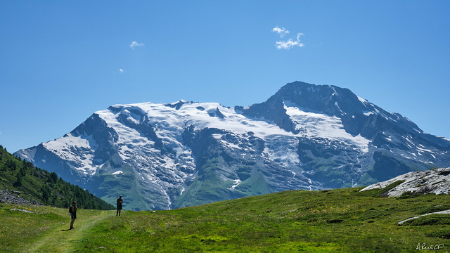 Le glacier du Mont Pourri