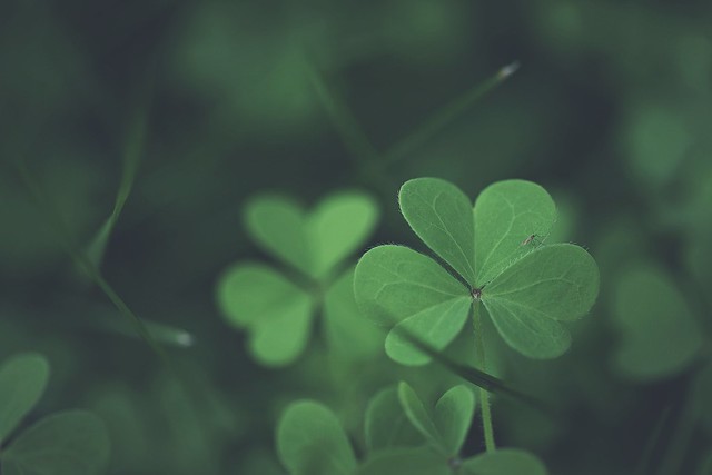 Green hearts...