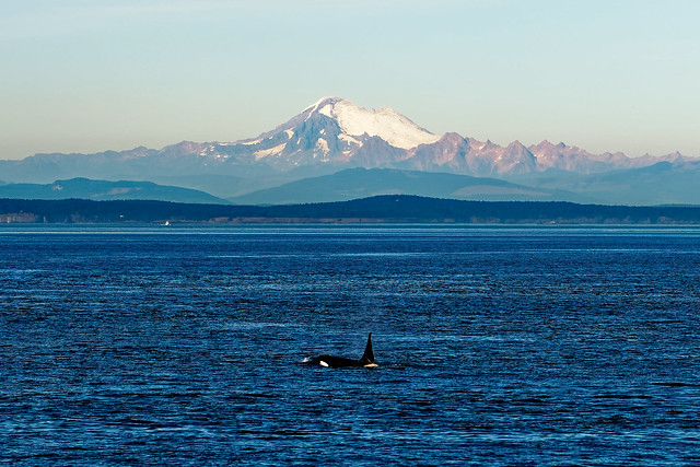 Mt. Baker and Orca