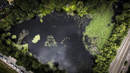 Wolvcercote Lake by Reckless Times, <a href="https://www.flickr.com/redirect?url=https://www.instagram.com/reckstergram/">Instagram</a> 