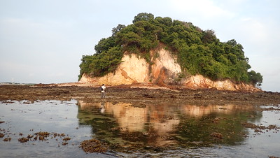 Living shores of Pulau Jong