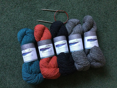 Debbie (debsnubs) is knitting her Opus with these Thd Fibre Co. Arranmore Light colours!