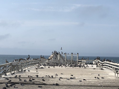 Camps Bay Beach