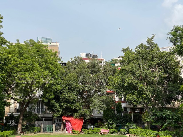 Mission Delhi - Devki, Hazrat Nizamuddin East