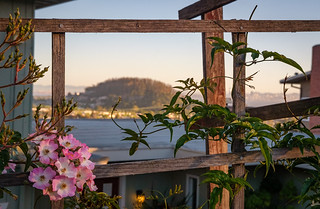 Thumbnail image for album (Trestle view to Albany Hill)