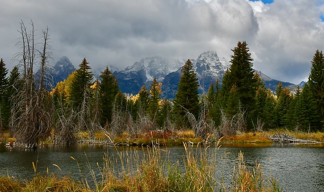 Tetons in the fall