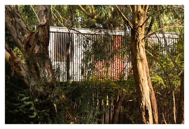 Corrugated iron and bushland