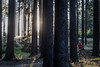 foto: RunCzech