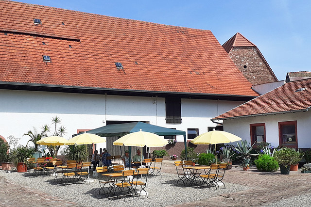 August 2021 ... Landcafé Walnuss in Heidelberg-Grenzhof_Brigitte Stolle