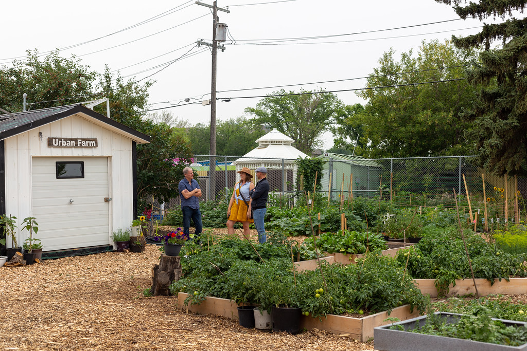 Three people chat in a yard of garden boxes full of green plants, near a shed with a sign that says "Urban Farm"