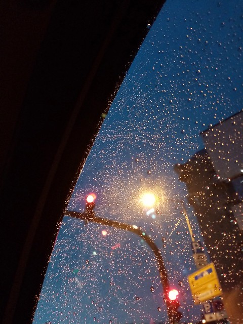 raindrops on car window