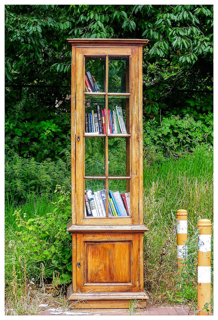 Books in the woods