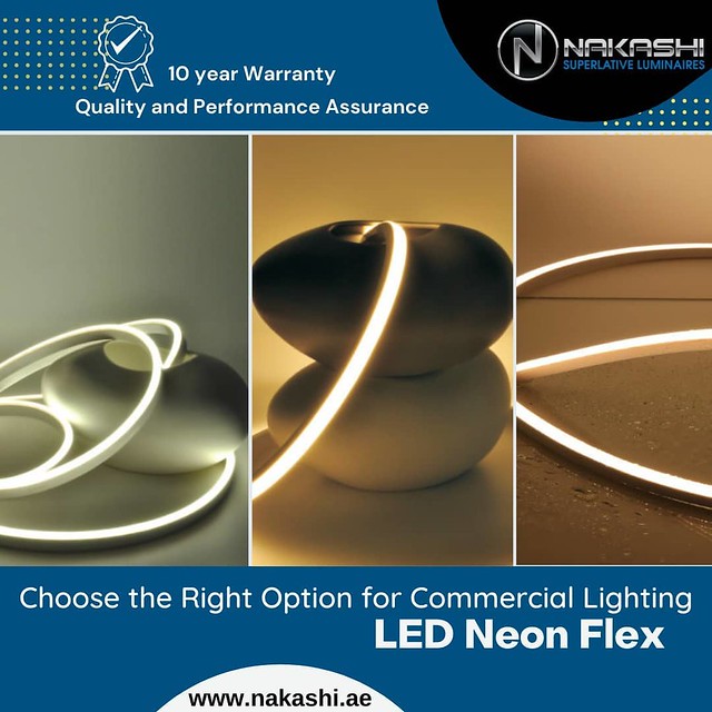 LED Neon Flex- Best Option for Commercial Lighting