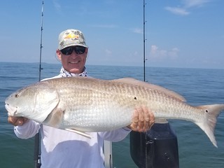 Photo of man on a boat holding a very large red drum fish.