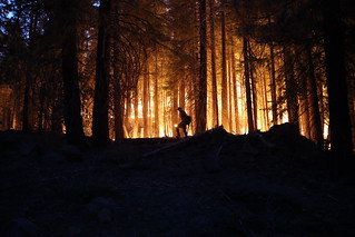 2021_DixieFire_Aug14 (73) | by CALFIRE_Official