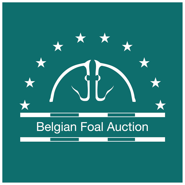 Belgian Foal Auction 2021
