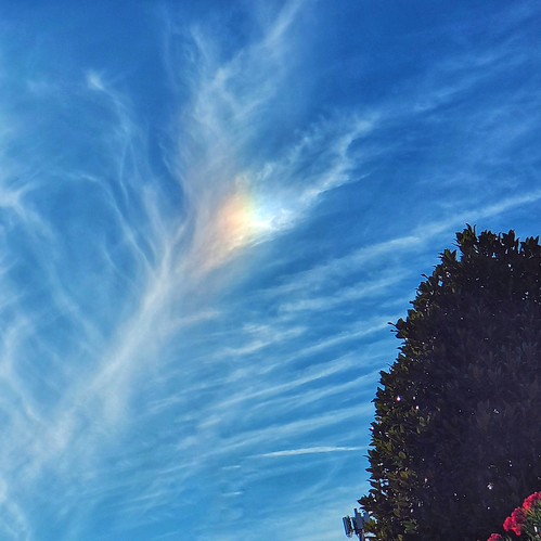 A peacock feather by Robyn Hooz, Come la piuma di un pavone, un parelio ha abbellito il cielo della mia città per alcuni minutisunset