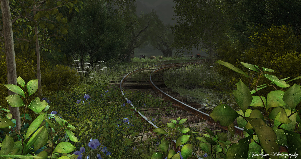 #124 Railway Tracks ( in the Meadow ) - Elvion