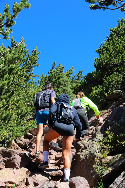 IMG_7220 Hikers on Humphreys Peak Trail