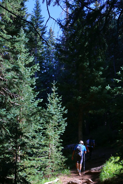IMG_7181 Hikers on Humphreys Peak Trail
