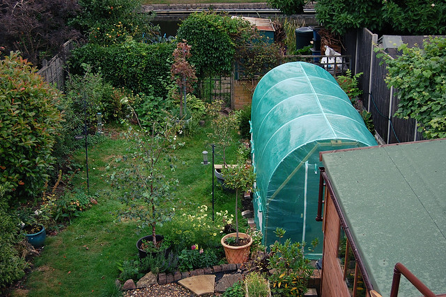 Looking Down on the Garden - August 2021