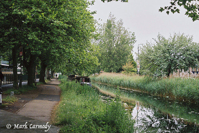 A green Grand Canal, Dublin