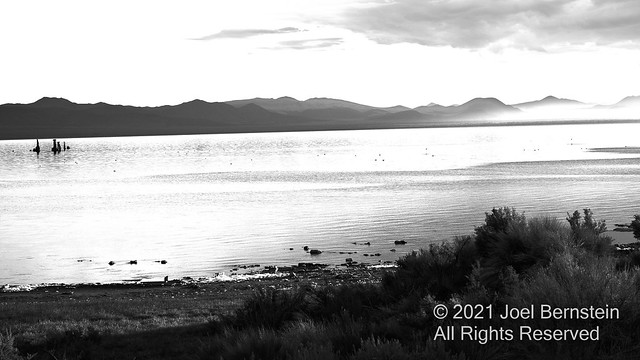 Summer 2021 - Mono Lake - -174.JPG