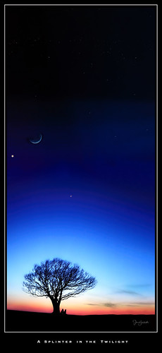 tree lonetree twilight slidefilm sunset blue silhouette moon aboyandhisdog kodachrome64