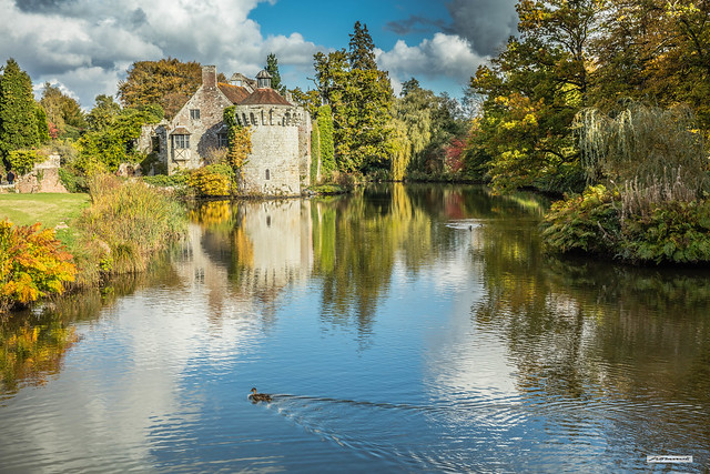 Afternoon sun illuminates the Autumn colours at Scotney Castle and are reflected in its extensive Moat, Lamberhurst, Kent, England.
