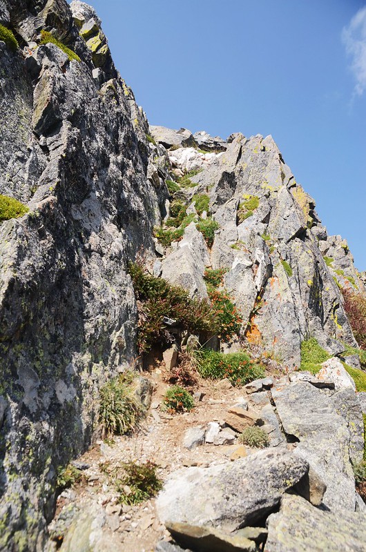 Climbing up east ridge of Father Dyer Peak (4)