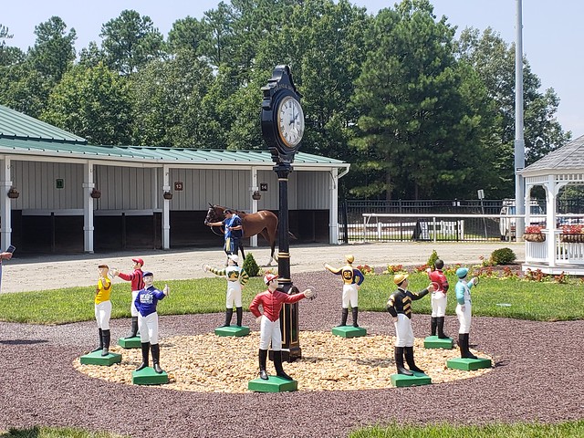 Colonial Downs paddock. Photo by The Racing Biz.
