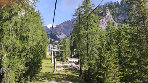 IMG_20210815_095845