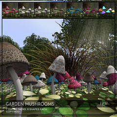 Garden Mushrooms L$50 this weekend only